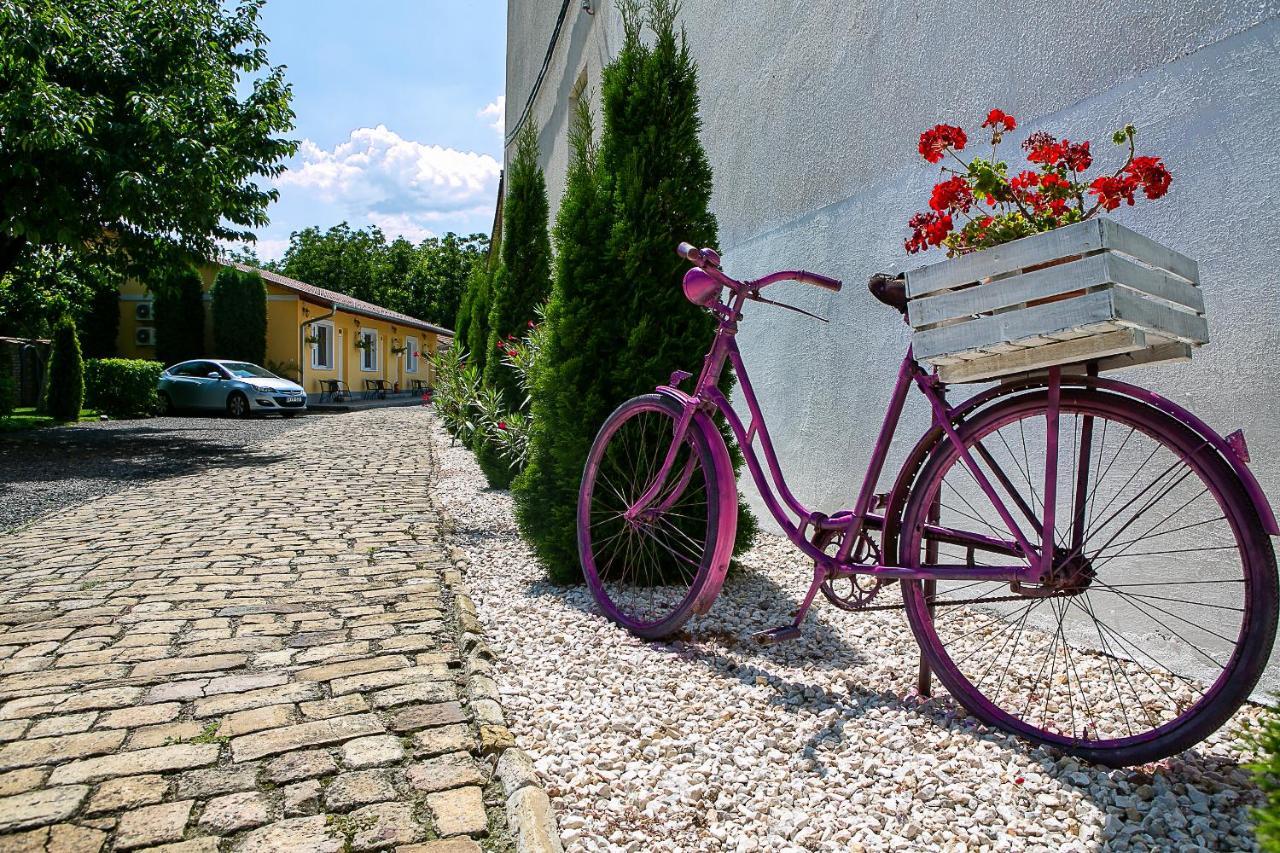 Oázis Panzió Makó Exterior foto